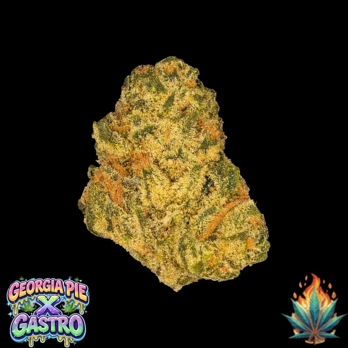 Native Fire - Native Fire *OZ* Georgia Pie x Gastro Main Image