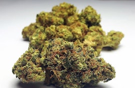 Master Kush Turntables Supreme Shelf Flower 14g