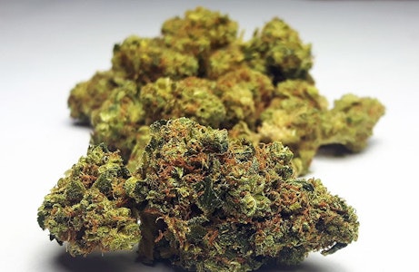 Turntables - Master Kush Turntables Supreme Shelf Flower 14g