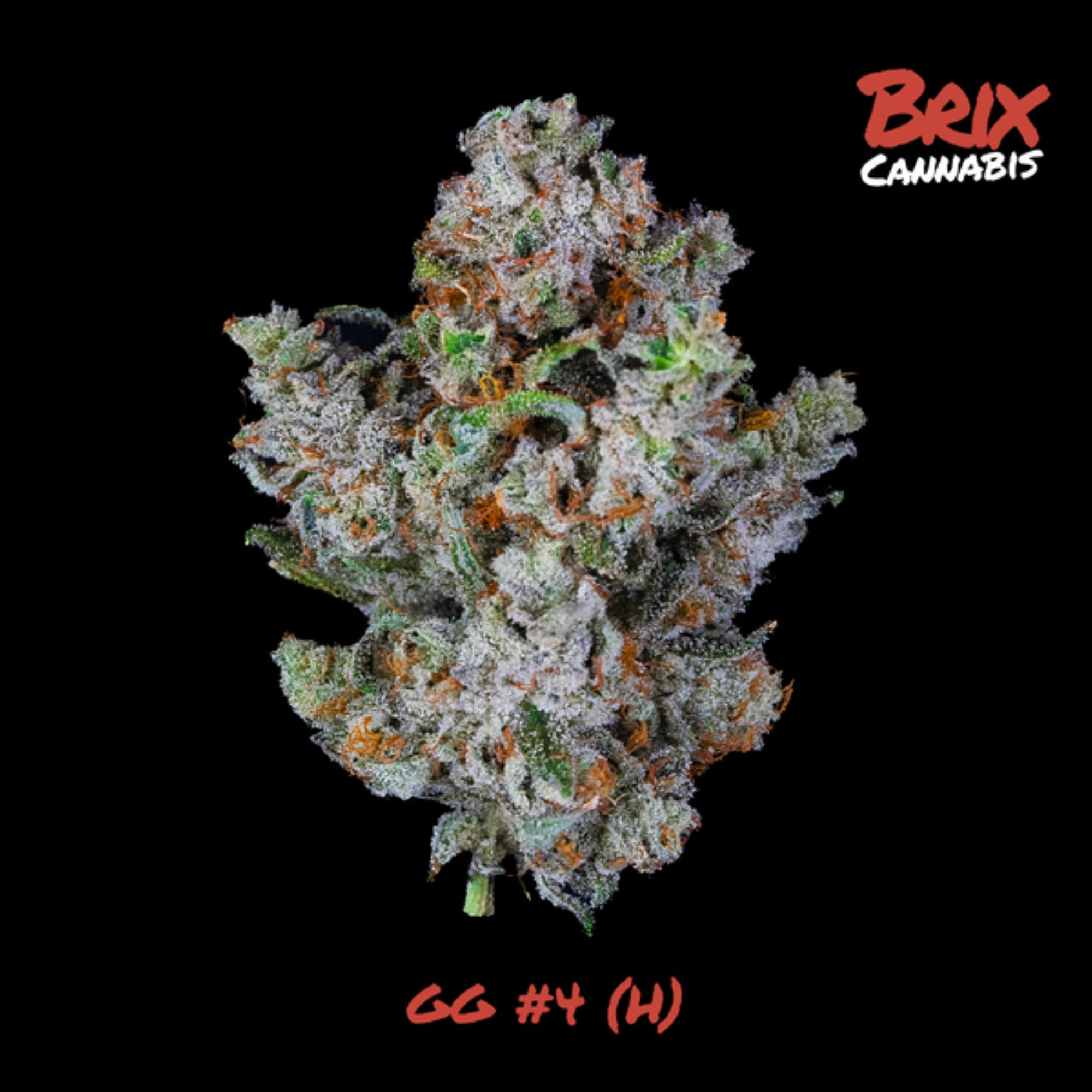 BRIX - GG4 Whole Flower 3.5g (H) 00665 Main Image