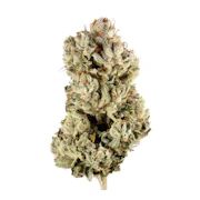 Gatsby Holdings LLC - Gorilla Glue - Deli Flower