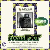 Galactic Green Grape FXT Disposable 2g