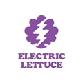 Electric Lettuce Rolling Papers