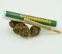 Blueberry Muffin Pre-Roll - 1g - 1ct - Grasslandz 