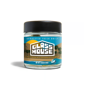 That Good Good - Glass House | R*ntz x Alien Mints | 3.5g