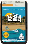 Glass House | Super Silver Haze | 5pk