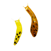 Glass Slugs