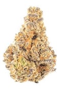 Elevated Trading Glitter Bomb AA THCA Hemp Flower