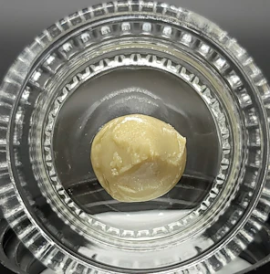 Forte - Globstopperz, Live Rosin