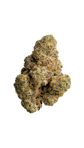 Glorious Cannabis - Gary Payton - 14g - Glorious Cannabis