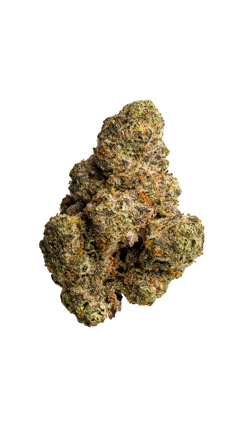 Glorious Cannabis - Gary Payton - 14g - Glorious Cannabis Main Image