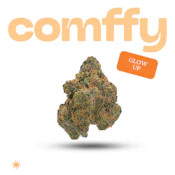 Comffy Flower 7g Glow Up 00266