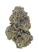 Glue 31 - Deli Flower
