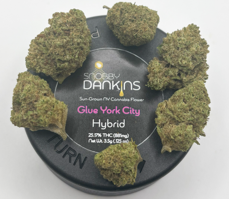 Snobby Dankins - Glue York City - 3.5g - Flower - Housing