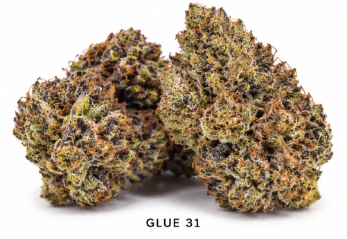 EMERALD FIRE (OK) - Glue 31- Deli Flower | Emerald Fire Main Image