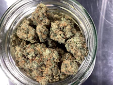 Green Paradise - Glueball Deli Flower