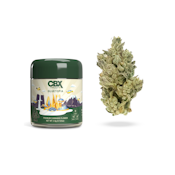 Gluetopia (H) | 3.5g Premium Flower | CBX