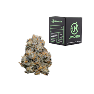 UpNorth - GMO | 3.5g Premium Indoor Flower | Up North