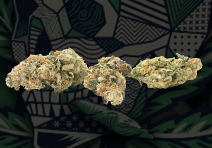 illicit | GMO Cookies | 3.5g