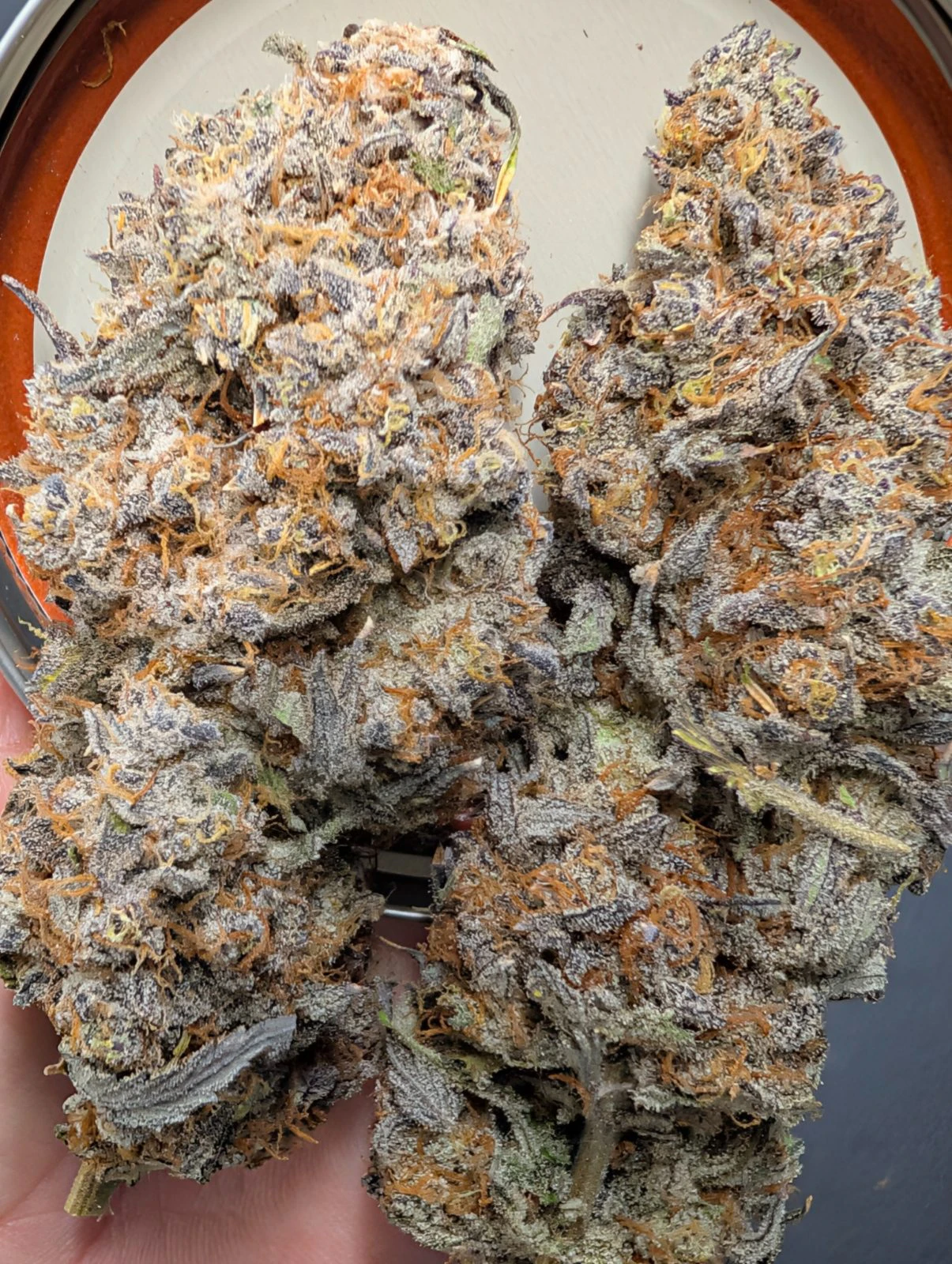 716Sticky - 716Sticky - G.M.O. Cookies - Flower - 3.5g Main Image