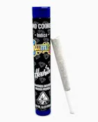 Crumbz - 1g Infused Preroll - GMO Cookies