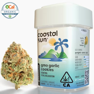 Coastal Sun - Coastal Sun - Indica - GMO Garlic Cookies - (3.5g)