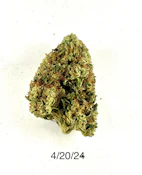 HDH - GMO x Zkittles (outdoor)