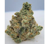 THC | GMO