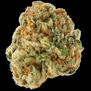 Deli Flower-IX | Campfire | Grapes N Cream