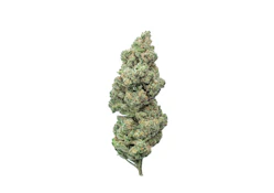 Coastal Roots | Goji | 3.5g Flower | 3.5g Total | [S]