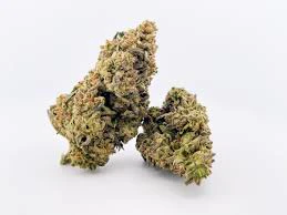 NATURE'S MEDICINE - Buds - Gold Cash Gold Main Image