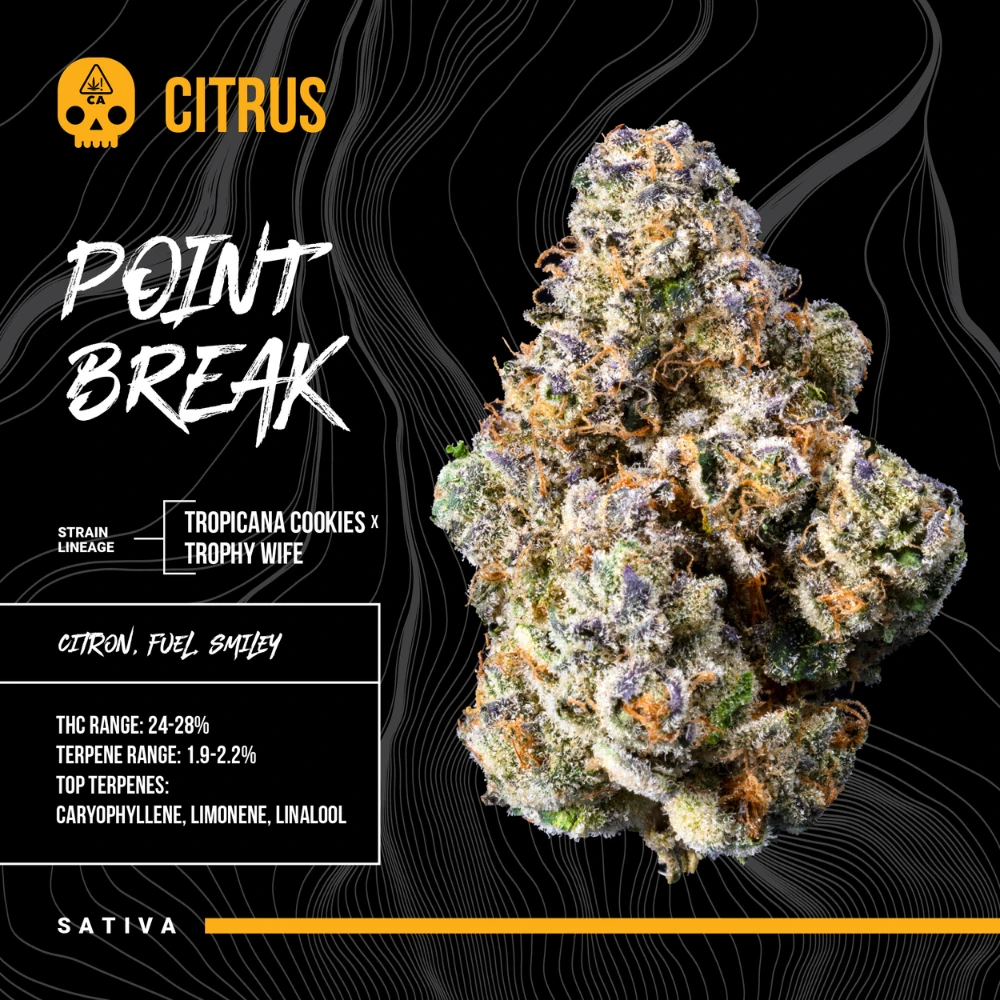 Bosky Genetics - Bosky Point Break (S) Flower 3.5g Main Image