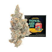 Team Elite Tropical Juice Box (H) Flower 3.5g