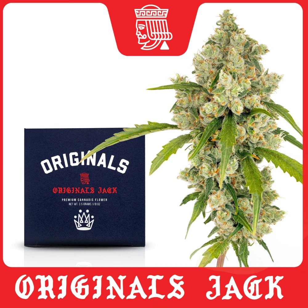 Originals Family Farms - Originals Family Farms Originals Jack (S) Flower 3.5g Main Image