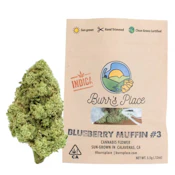 Burr's Place Blueberry Muffin (I) Flower 3.5g