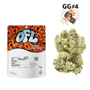 Oakfruitland GG4 (H) Flower 7g