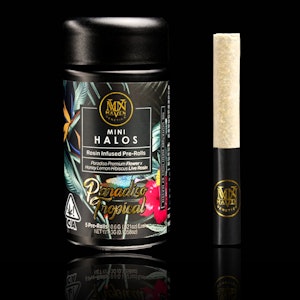 Maven - Maven Halos Paradiso Tropical (S) Rosin Preroll 5pk 3g