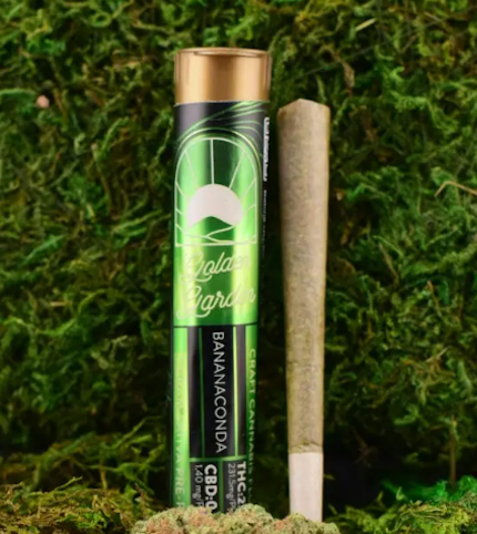 Golden Garden - Bananaconda -Sativa- Craft Cannabis 1G Pre-Roll | Golden Garden     -aa10 BACK
