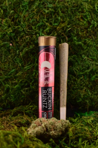 Golden Garden - Buckin Runtz -Hybrid- Craft Cannabis 1G Pre-Roll | Golden Garden    -aa10 front