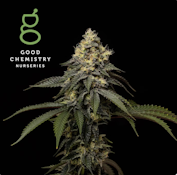Dosi Face - 3.5g
