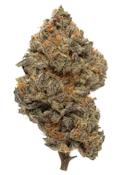 Malawi Gold | 14 Gram PRE-PACK