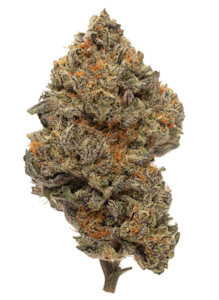 Mitch's House of Flowers - Malawi Gold | 14 Gram PRE-PACK