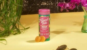 Good Tide - Passion Fruit Gummies - THC:CBD:CBN - 1:1:1 - 10 Pack
