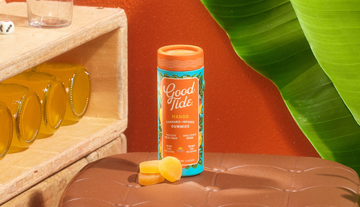 GOOD TIDE - GOOD TIDE | MANGO - 10PK | EIDIBLE | 100MG