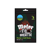 Goodlyfe - Motor Breath - Ready to Roll Shake - 1 OZ