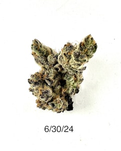 PROHIBITION 37 - P37 - Goon Berries