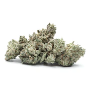 Gorilla Glue Small Buds | Indoor 14g