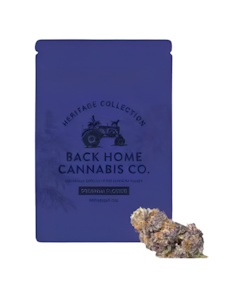 BACK HOME CANNABIS CO - Back Home Cannabis - Gorilla Glue - 3.5G