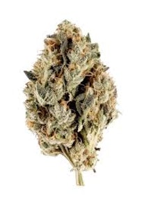 Buds - Gorilla Glue #4