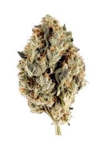 ALPHA GROW - Buds - Gorilla Glue #4